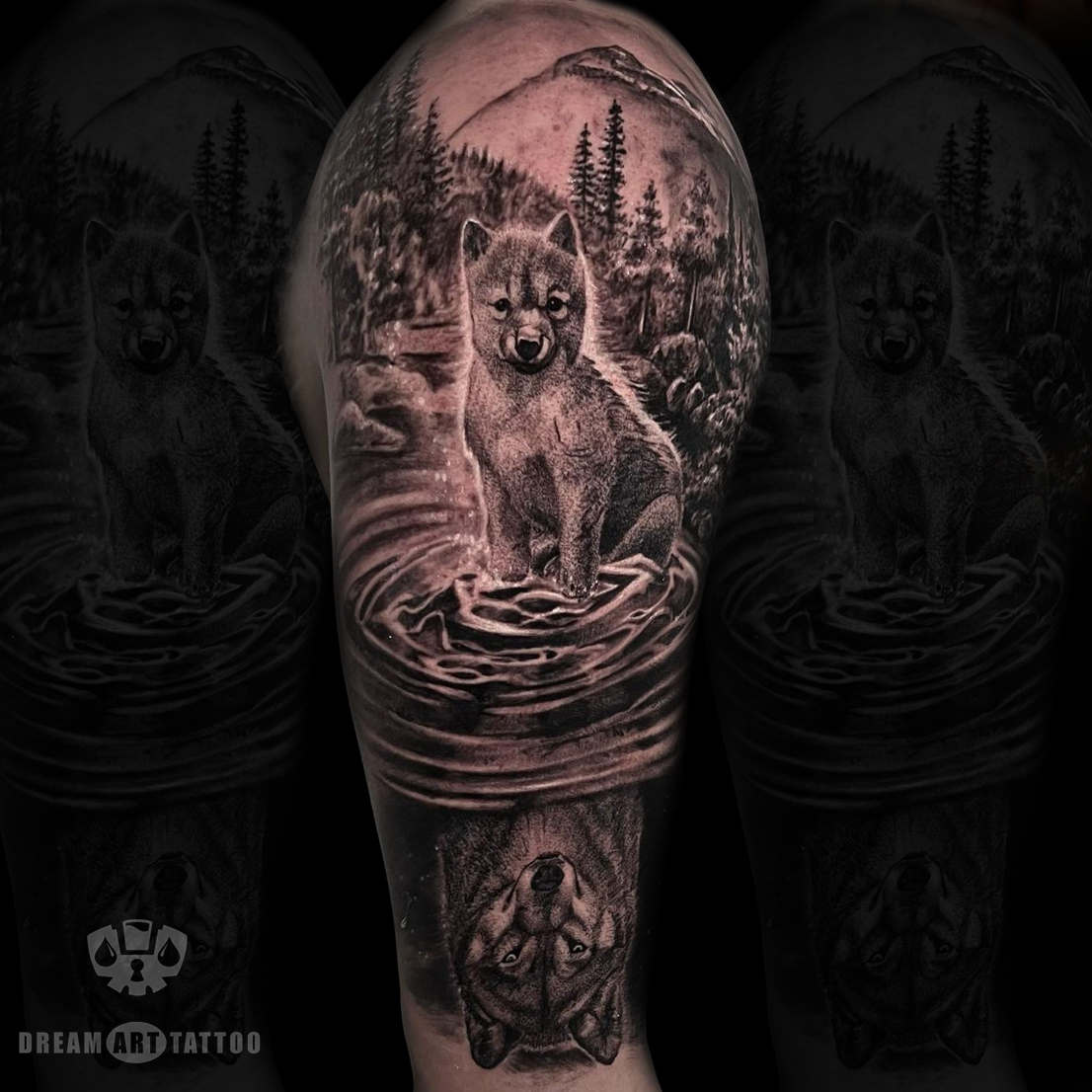 Lobo1