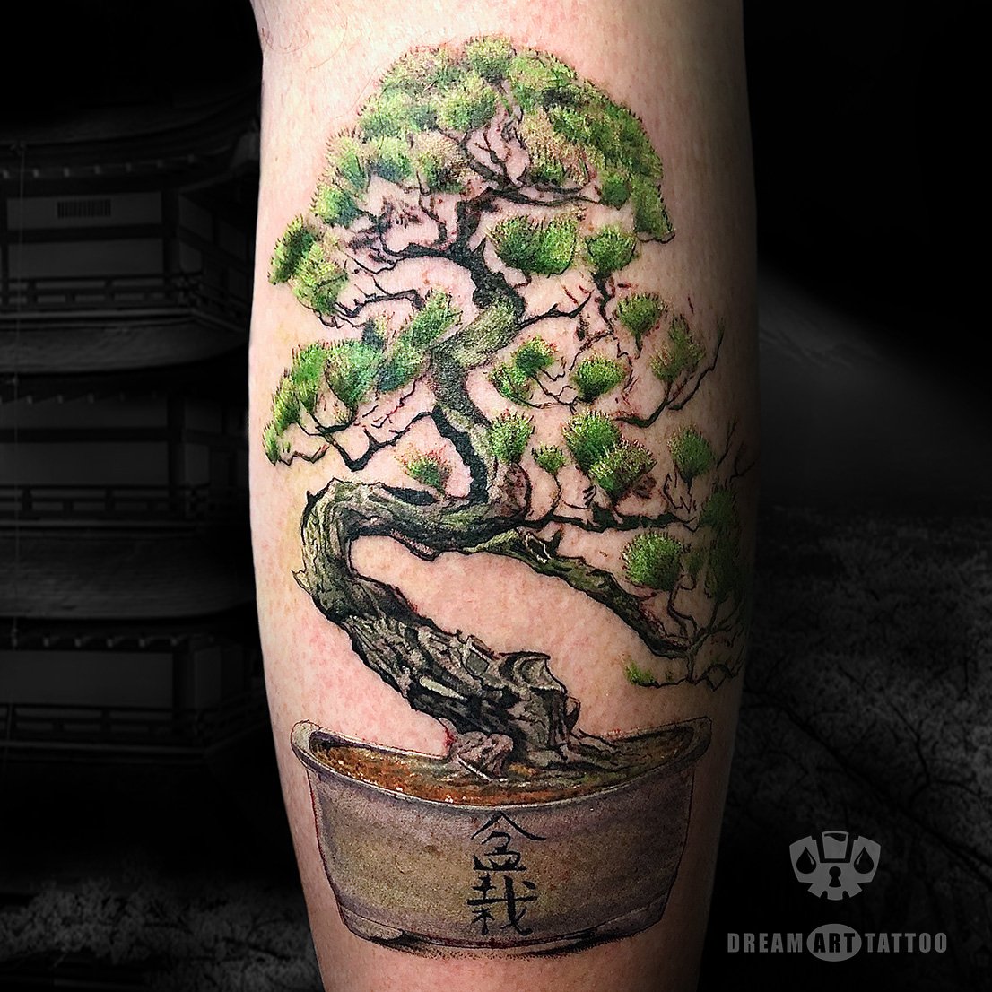 Bonsai